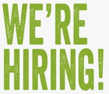 Are you looking for a Position?